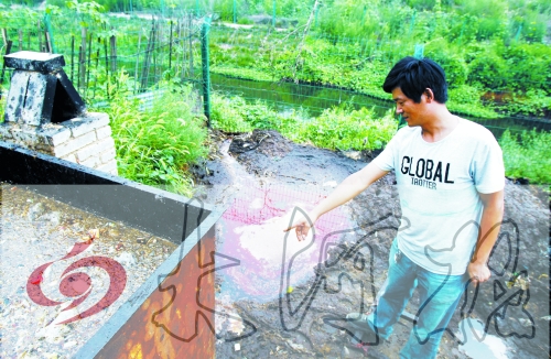 煉油點(diǎn)將骯臟、臭氣熏人的廢水直接排入溝渠。