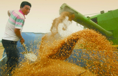 心情喜悅麥龍舞。