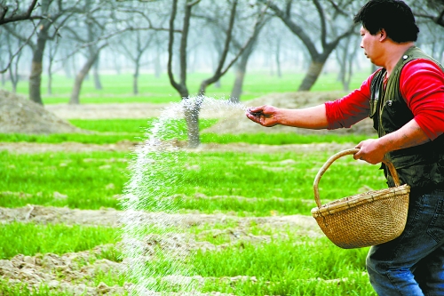 3月18日，內(nèi)黃縣城關(guān)鎮(zhèn)農(nóng)民在給小麥?zhǔn)┓?。眼下正是冬小麥返青的關(guān)鍵時(shí)期，內(nèi)黃縣廣大農(nóng)民積極開(kāi)展以澆水