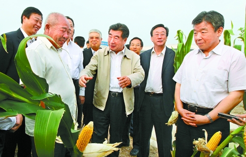 圖為回良玉在鄧州市腰店鄉(xiāng)草寺村視察萬(wàn)畝玉米高產(chǎn)示范方。