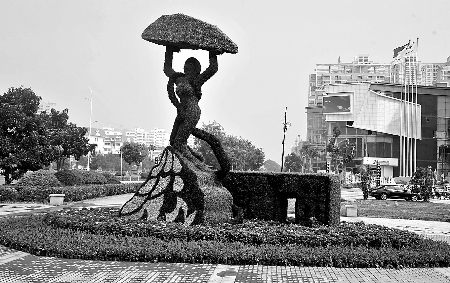 8月28日，南陽(yáng)街頭繁花似錦，市民宛若行走在花海之中。