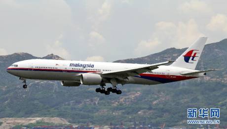 直擊馬航MH17客機(jī)墜毀現(xiàn)場 直擊馬航MH17客機(jī)墜毀現(xiàn)場