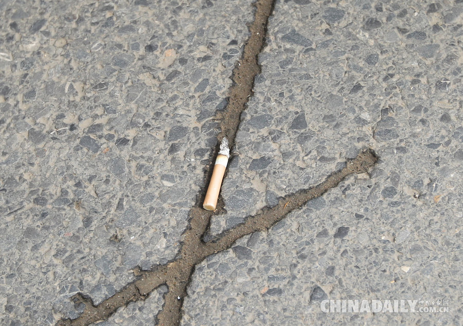 鄭州司機(jī)開(kāi)車(chē)隨手扔煙頭被罰100元