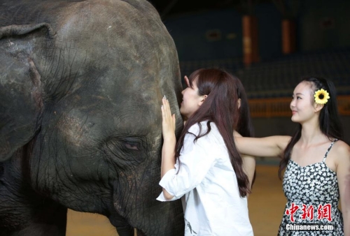 學(xué)生參加?；ㄐ２荽筚?穿比基尼秀身材