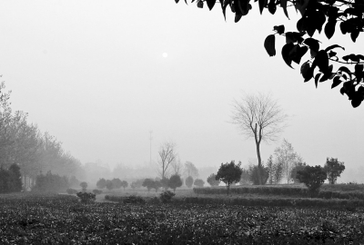 3月26日上午8點,鄭大新校區(qū),濃濃的霧霾埋沒了大好春景。