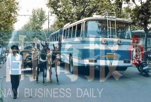 當年的伏牛路，驢車和公交車并行