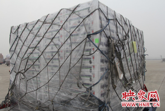 智力的藍莓包機跨洋到河南 智力的藍莓包機跨洋到河南