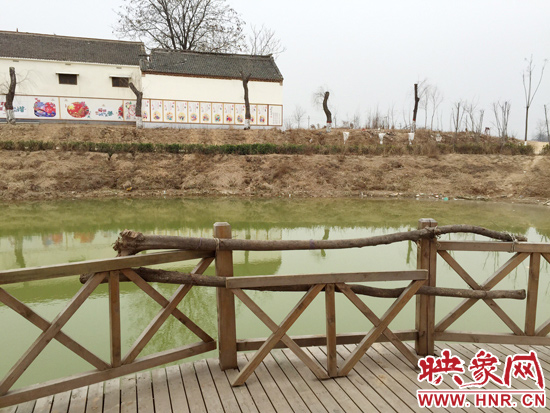 護(hù)欄損毀的地方，已經(jīng)被兩根樹干擋住。