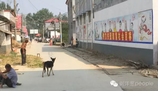 孫莊村一角。新京報記者安鐘汝 攝