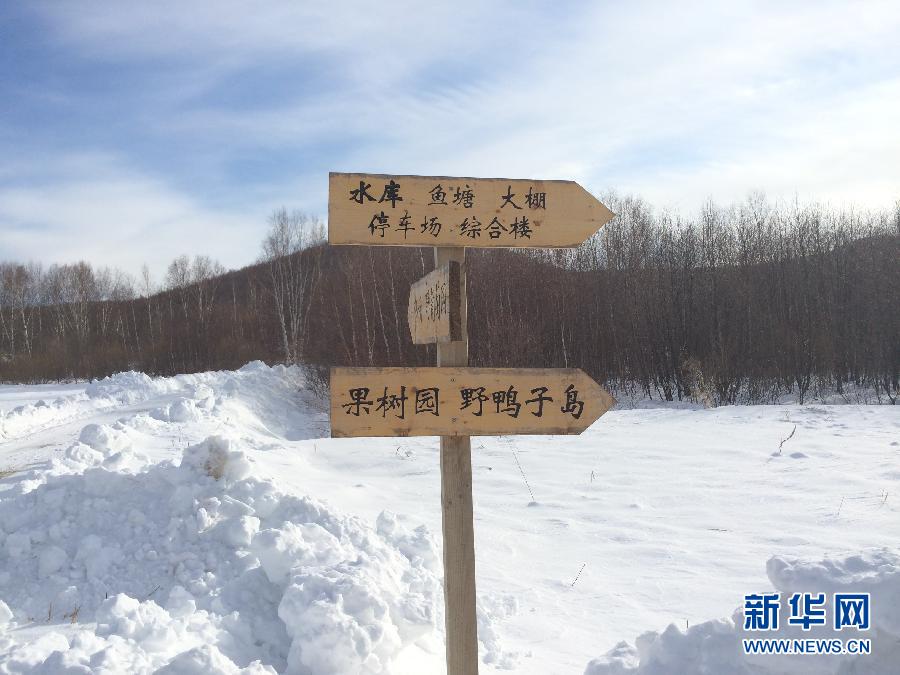 穗豐園里的標(biāo)識牌（2013年12月8日攝）。新華社記者王子辰攝
