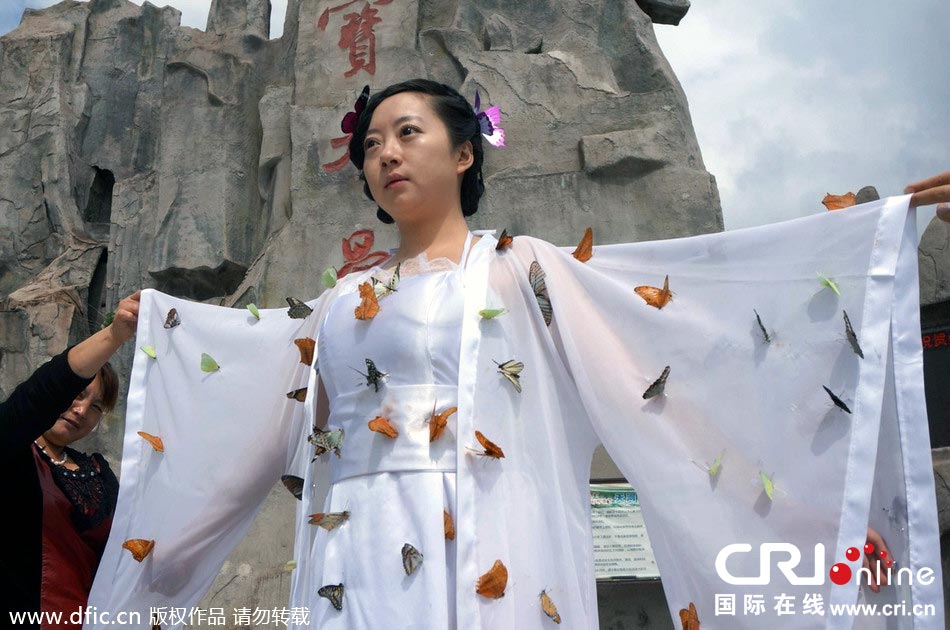 “蝴蝶仙子”身穿上百只剛剛扎死的蝴蝶。圖片來源：老祝/東方IC