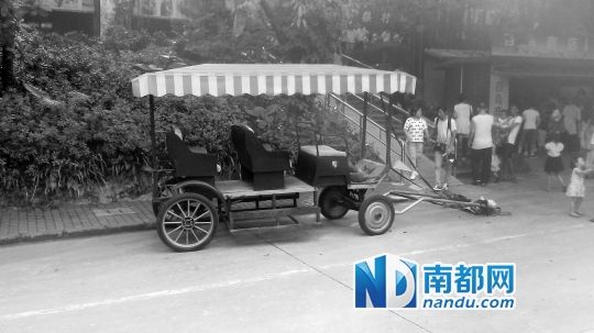 園方則稱解剖后發(fā)現(xiàn)馬死于心臟衰竭，“與累無關(guān)”。