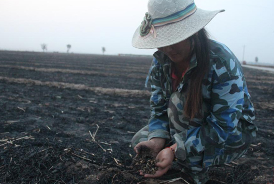村民們眼巴巴看著豐收的小麥“葬身”火海，心疼不已。