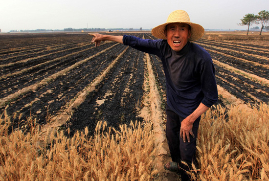 河南省滑縣、內(nèi)黃縣麥田著火，麥壟套種的花生、玉米苗也被烤焦，群眾損失慘重