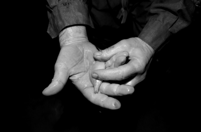 圖為科考人員發(fā)現(xiàn)的洞穴動物（3月2日攝）。