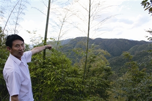 村民吳學(xué)田告訴記者，對面兩座山就是潘建友承包的部分山場 見習(xí)記者 邱一文 攝