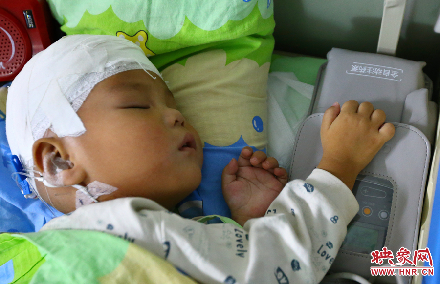 經過手術，小龍病情已經逐漸好轉，正在甜甜的熟睡