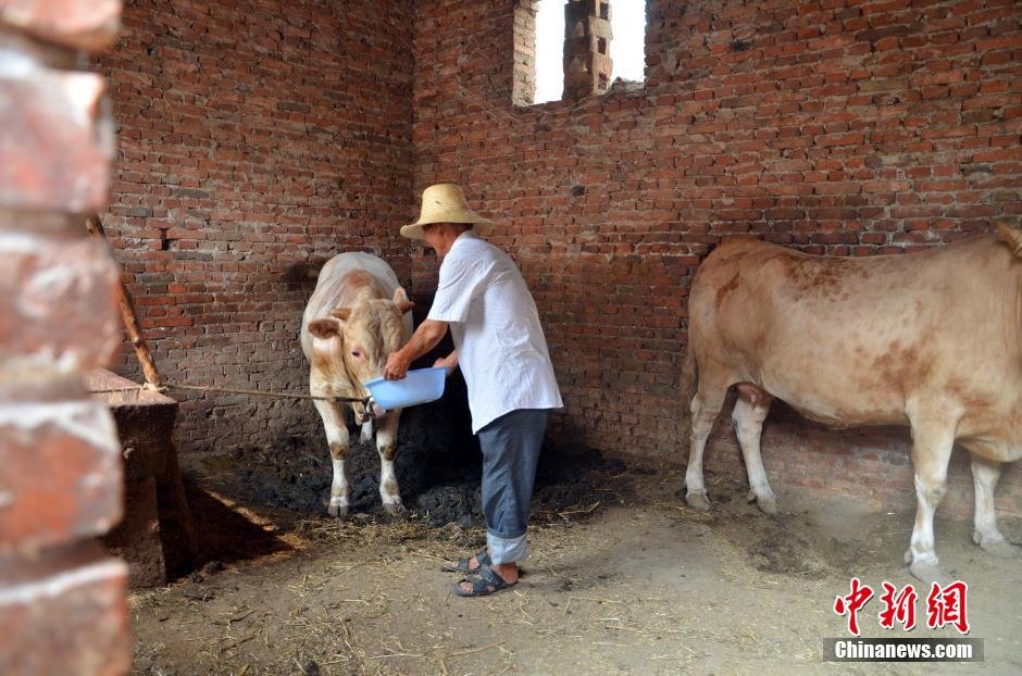 同時，地下水位的持續(xù)下降以及部分山泉水的干涸，已造成全縣2.85萬人和2000頭大牲畜出現(xiàn)飲水困難。