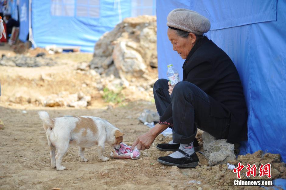 8月6日，一名老人將剛領(lǐng)到的礦泉水分給小狗。