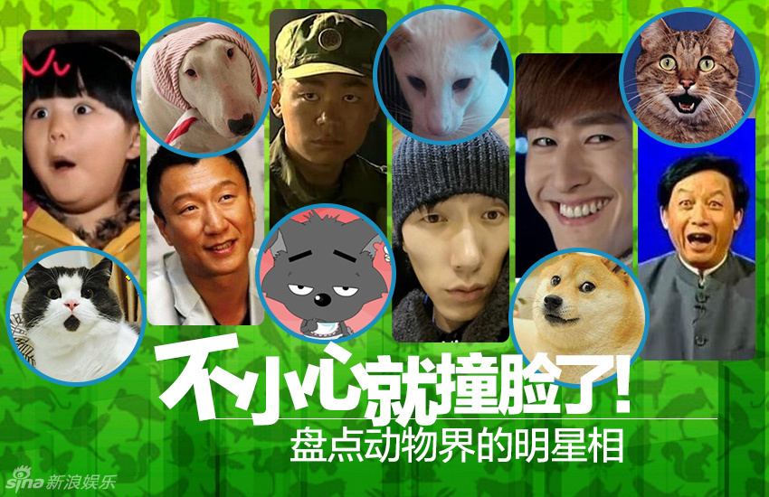 不小心就撞臉了！盤點(diǎn)動(dòng)物界的明星相