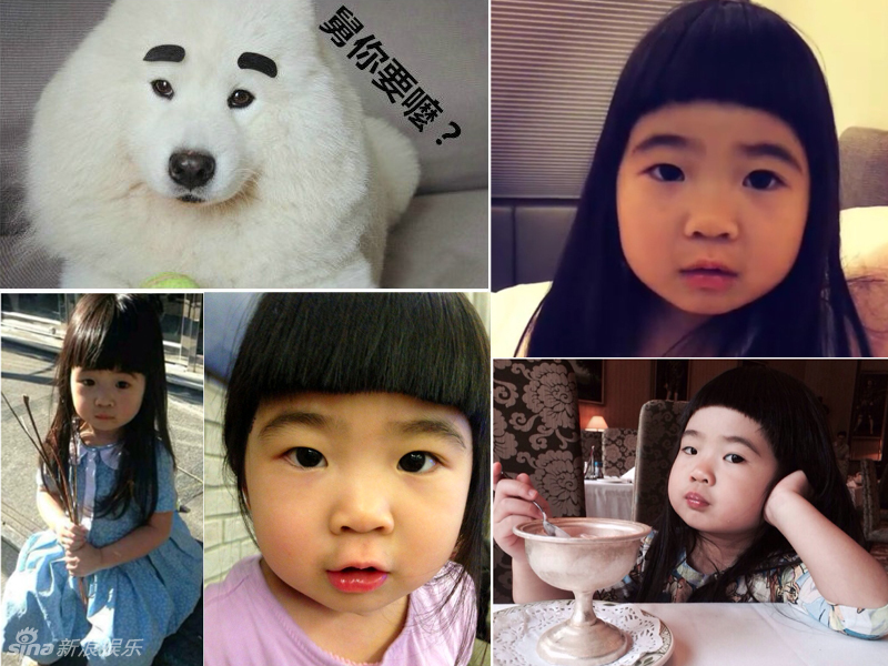 不小心就撞臉了！盤點(diǎn)動(dòng)物界的明星相