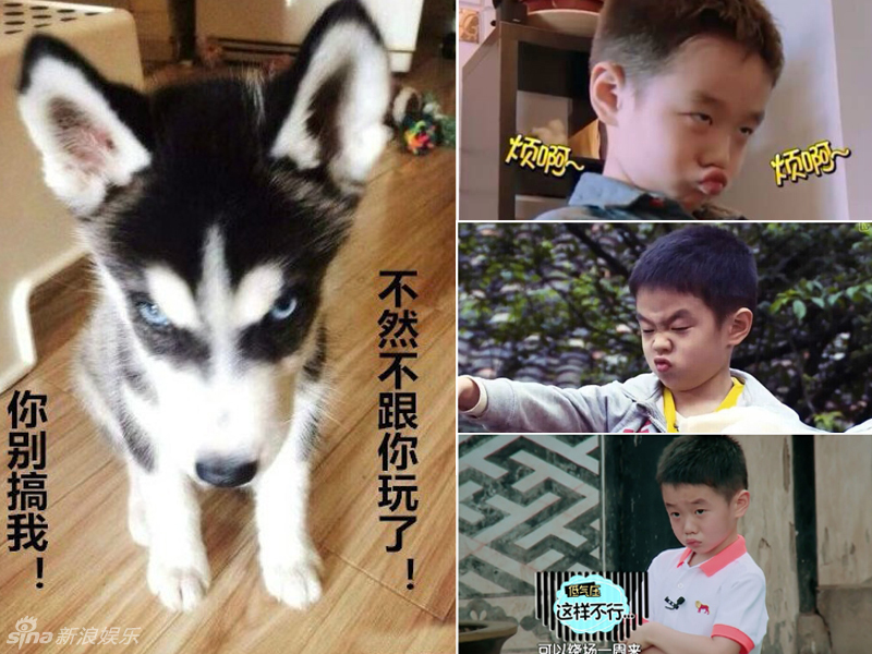 不小心就撞臉了！盤點(diǎn)動(dòng)物界的明星相