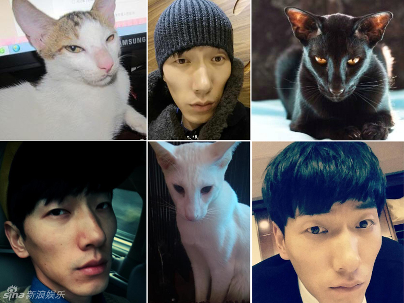 不小心就撞臉了！盤點(diǎn)動(dòng)物界的明星相