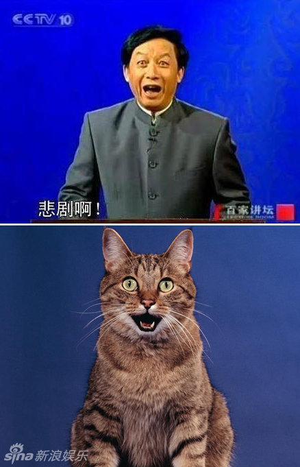 不小心就撞臉了！盤點(diǎn)動(dòng)物界的明星相