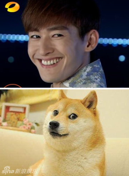 不小心就撞臉了！盤點(diǎn)動(dòng)物界的明星相