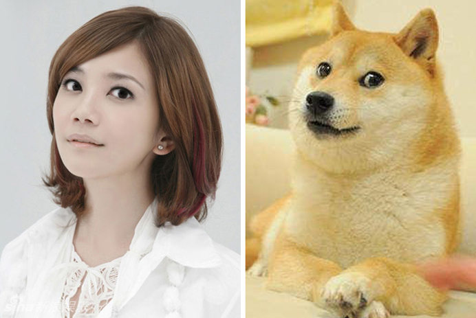 不小心就撞臉了！盤點(diǎn)動(dòng)物界的明星相