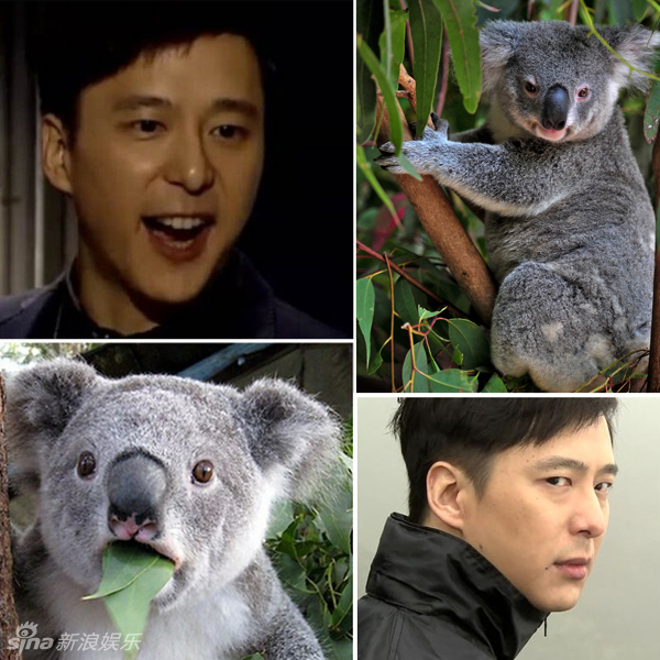 不小心就撞臉了！盤點(diǎn)動(dòng)物界的明星相