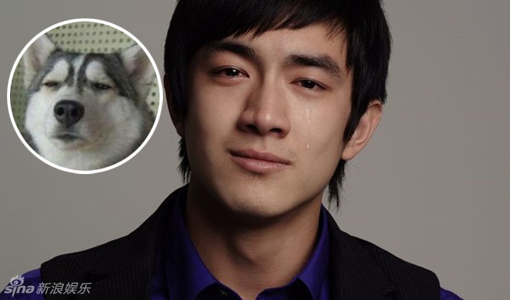 不小心就撞臉了！盤點(diǎn)動(dòng)物界的明星相