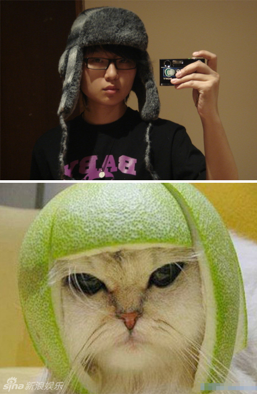 不小心就撞臉了！盤點(diǎn)動(dòng)物界的明星相