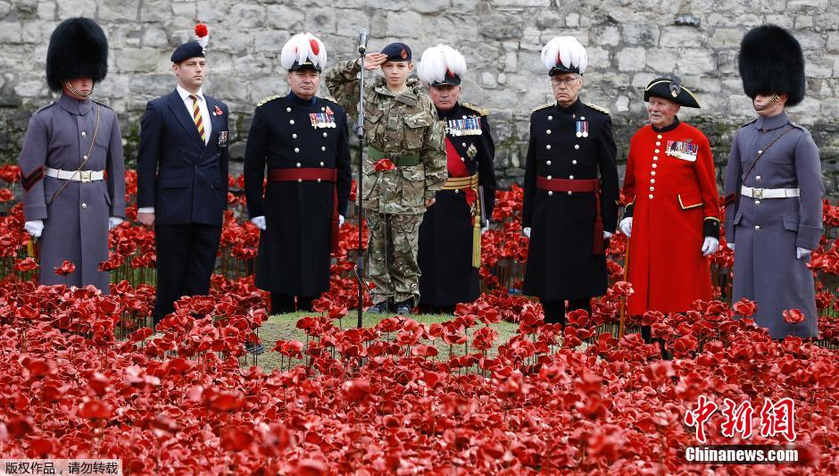 當(dāng)?shù)貢r(shí)間2014年11月10日，英國(guó)倫敦，倫敦塔周邊“種植”了888246朵陶瓷材質(zhì)的罌粟花，以此紀(jì)