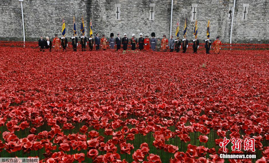 當(dāng)?shù)貢r(shí)間2014年11月10日，英國(guó)倫敦，倫敦塔周邊“種植”了888246朵陶瓷材質(zhì)的罌粟花，以此紀(jì)