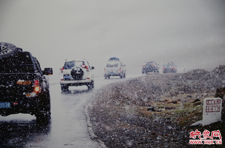 賽車的世界、更是男人的世界。圖為部分參展攝影作品。