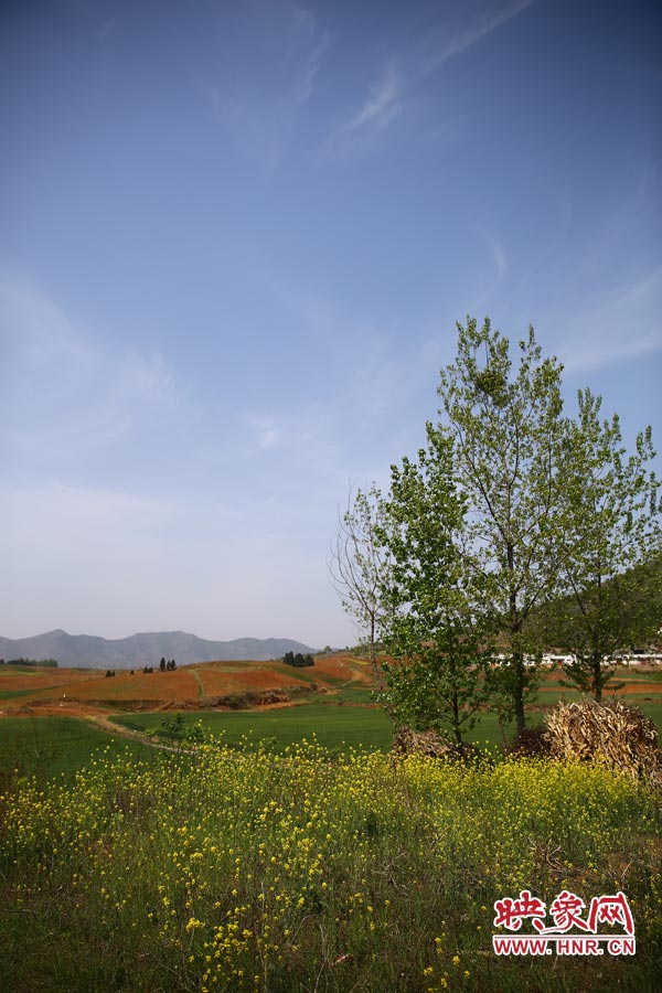 庫區(qū)的藍(lán)天、白云、綠樹、黃花給人清新的享受