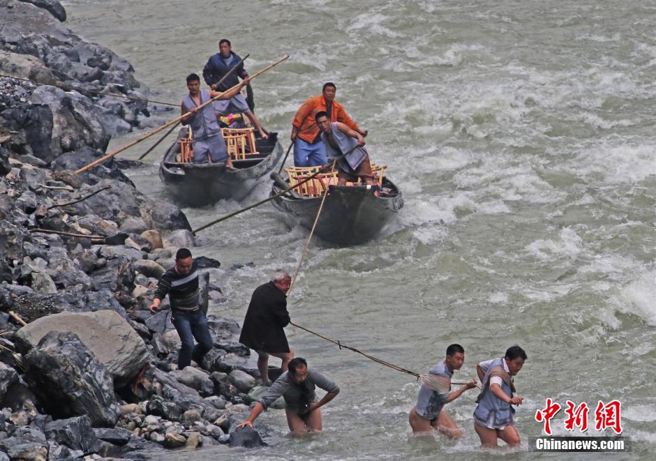 纖夫在神農(nóng)溪畔牽引木船溯溪而上。