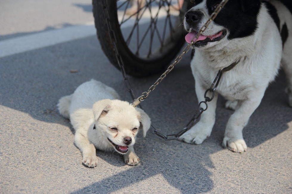 山東花甲老人為尋妻 拉“房車(chē)”四海為家 山東花甲老人為尋妻 拉“房車(chē)”四海為家