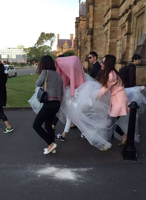 劉強東奶茶妹被曝悉尼拍婚紗照 劉強東奶茶妹被曝悉尼拍婚紗照
