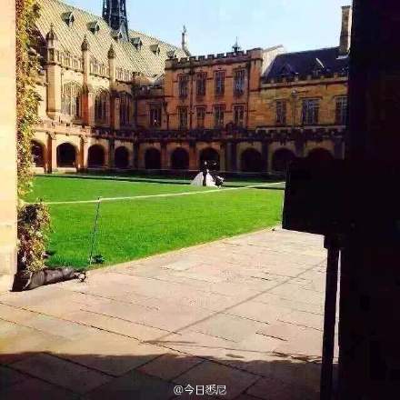 劉強東奶茶妹被曝悉尼拍婚紗照 劉強東奶茶妹被曝悉尼拍婚紗照