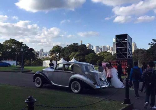 劉強東奶茶妹被曝悉尼拍婚紗照 劉強東奶茶妹被曝悉尼拍婚紗照