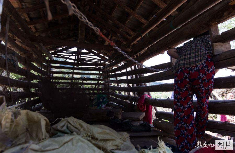 吉林16歲少女被鎖玉米樓五年 吉林16歲少女被鎖玉米樓五年