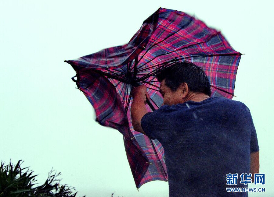 8月8日，福建省石獅市漁民在風(fēng)雨中前行。