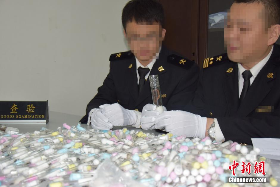 四川海關(guān)截獲400只入境活體螞蟻 四川海關(guān)截獲400只入境活體螞蟻