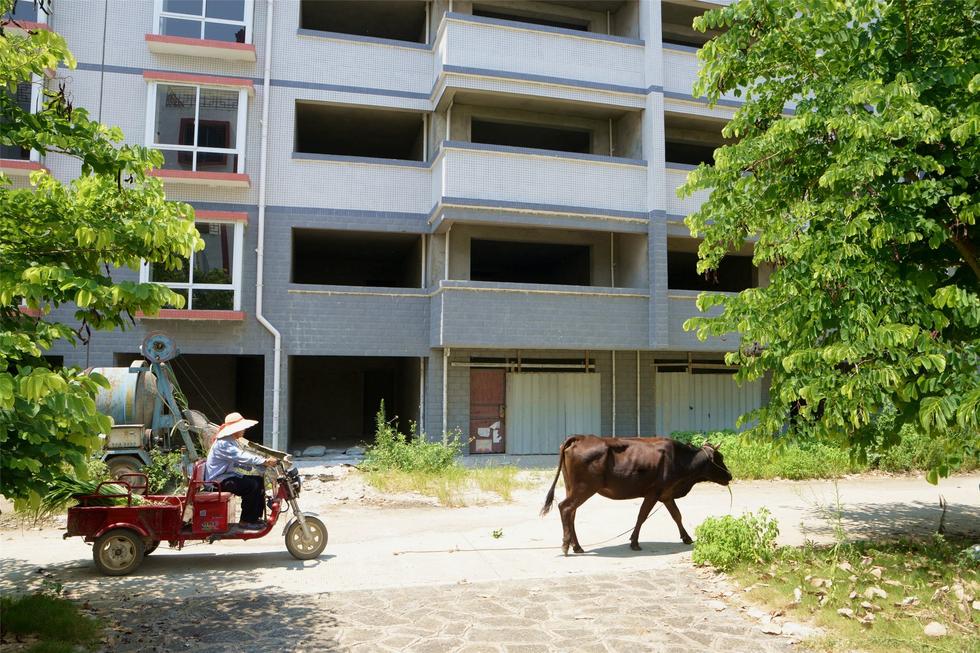 2016年7月26日，村民在廣西來(lái)賓市忻城縣隆達(dá)山水福城荒廢別墅間放牛。
