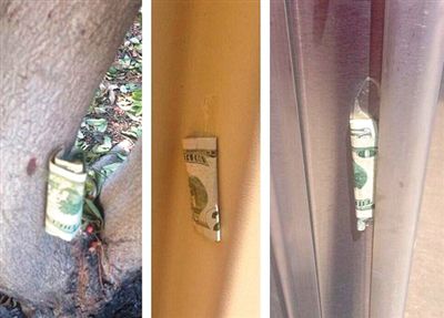 “隱藏的鈔票”會被神秘人藏在公園、廁所等“奇怪的地方”。