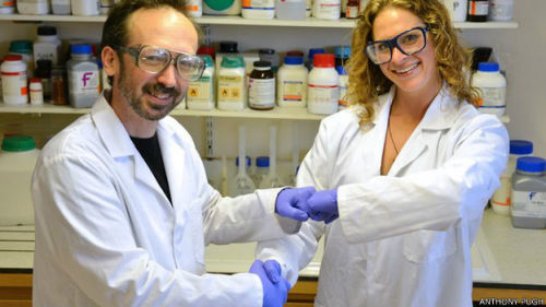 英國科學家呼吁用碰拳取代握手 減少病菌傳播 英國科學家呼吁用碰拳取代握手 減少病菌傳播