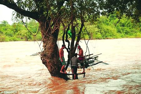 蓋屋、種菜，“從沒這樣快樂”