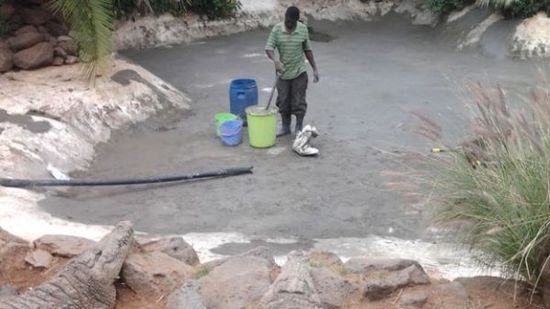 穆克的養(yǎng)殖場，鱷視眈眈下的工作人員。